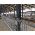 Q235 Q355 HRS hot rolled steel structure prefab farm house poultry shed chicken house